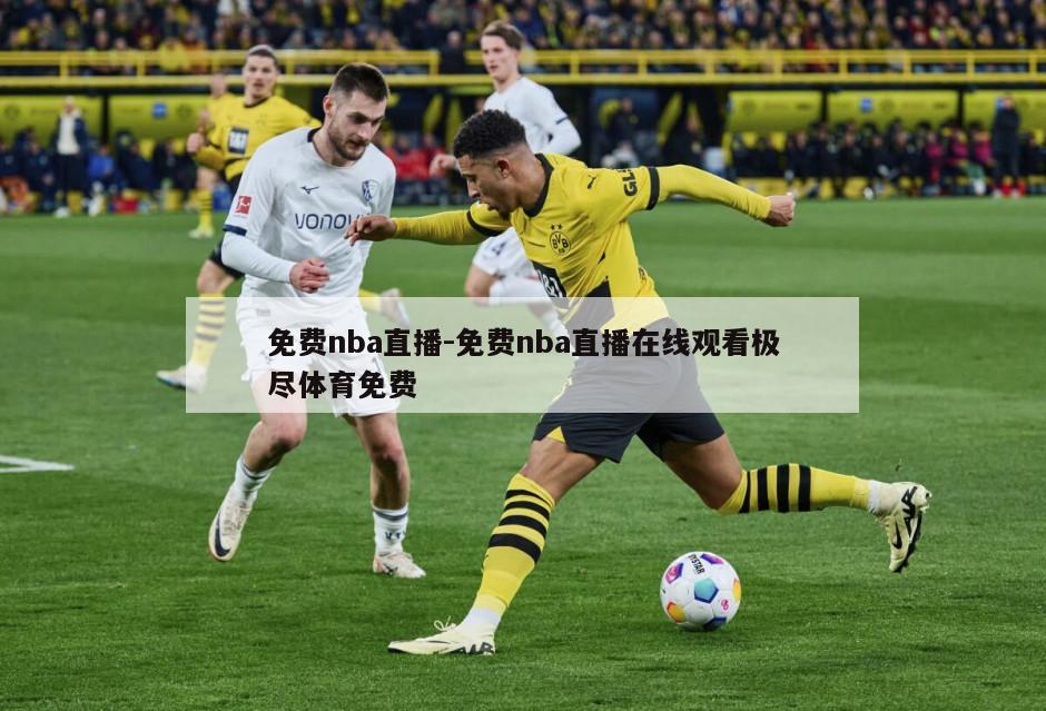 免费nba直播-免费nba直播在线观看极尽体育免费