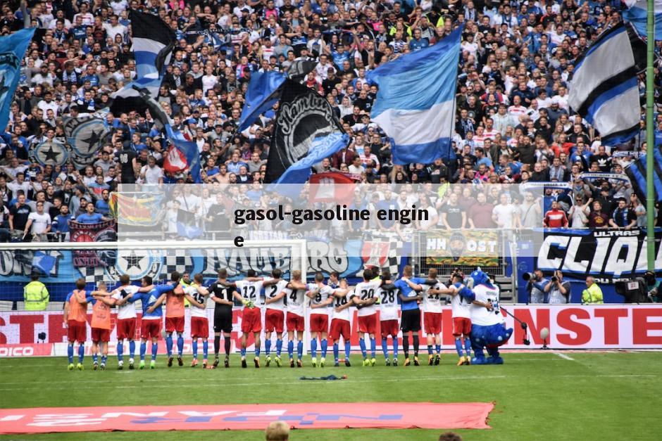 gasol-gasoline engine