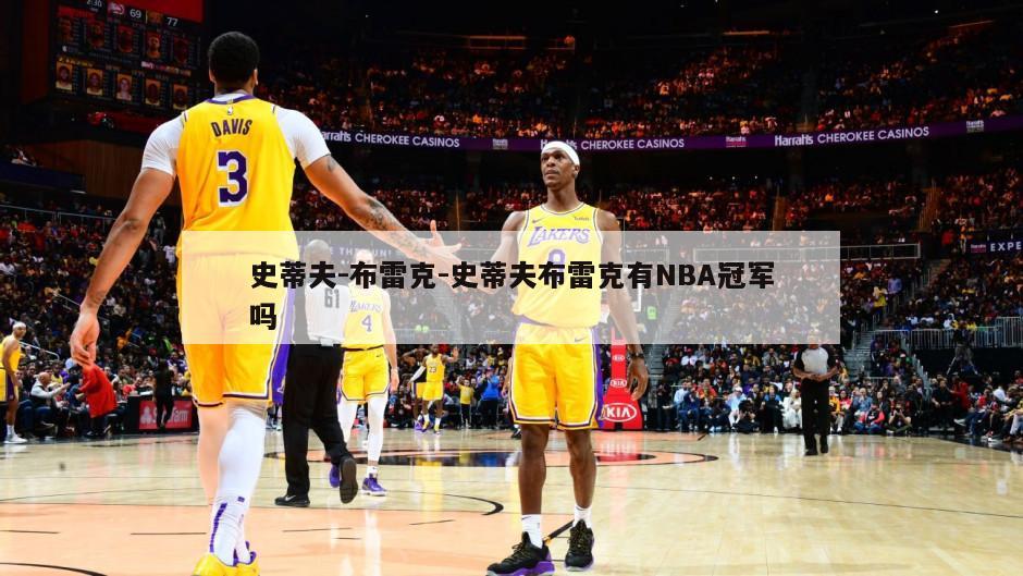 史蒂夫-布雷克-史蒂夫布雷克有NBA冠军吗