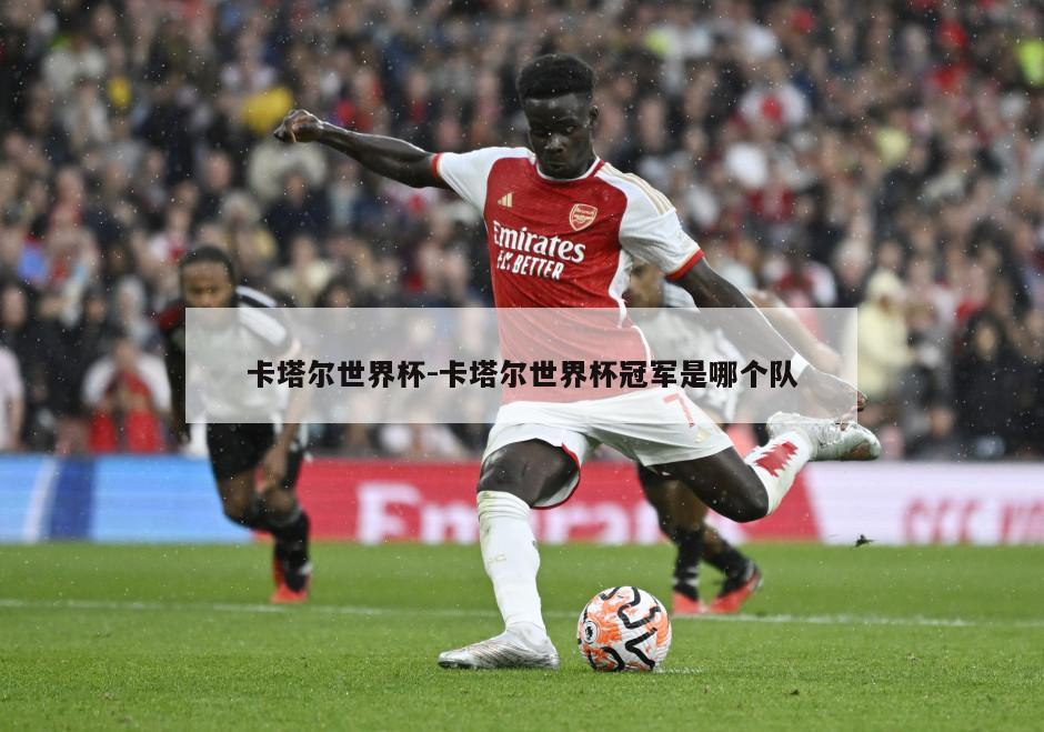 卡塔尔世界杯-卡塔尔世界杯冠军是哪个队
