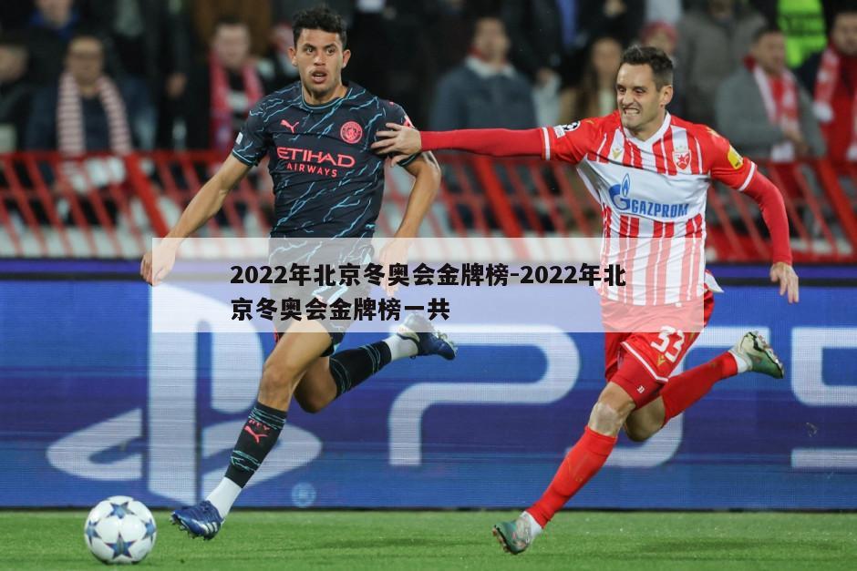 2022年北京冬奥会金牌榜-2022年北京冬奥会金牌榜一共