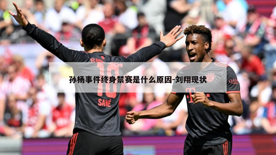 孙杨事件终身禁赛是什么原因-刘翔现状