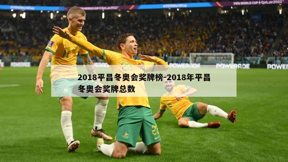 2018平昌冬奥会奖牌榜-2018年平昌冬奥会奖牌总数