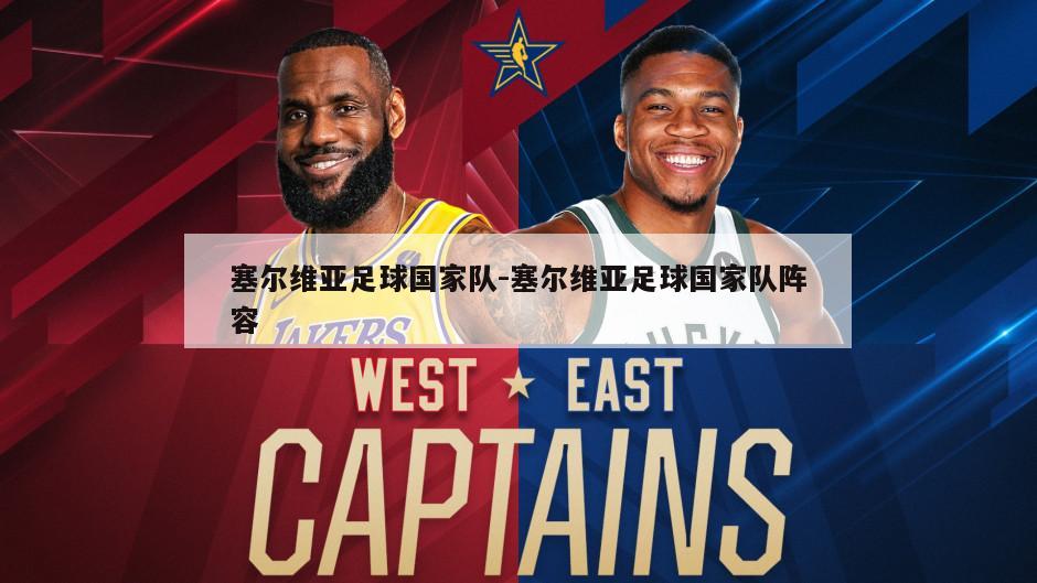 塞尔维亚足球国家队-塞尔维亚足球国家队阵容