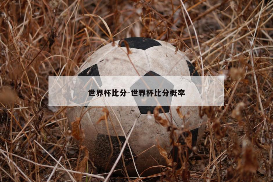 世界杯比分-世界杯比分概率